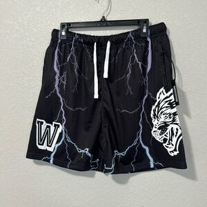 Darcsport Vaughn Mesh Shorts
